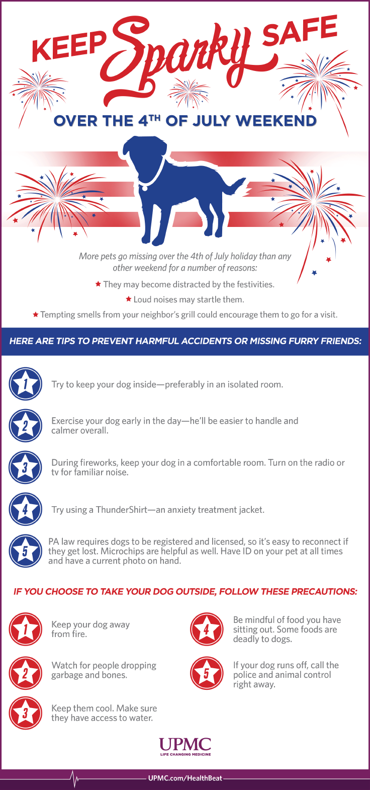 4th of July Pet Safety Tips | UPMC HealthBeat