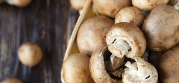 6 reasons mushrooms make awesome addition meal