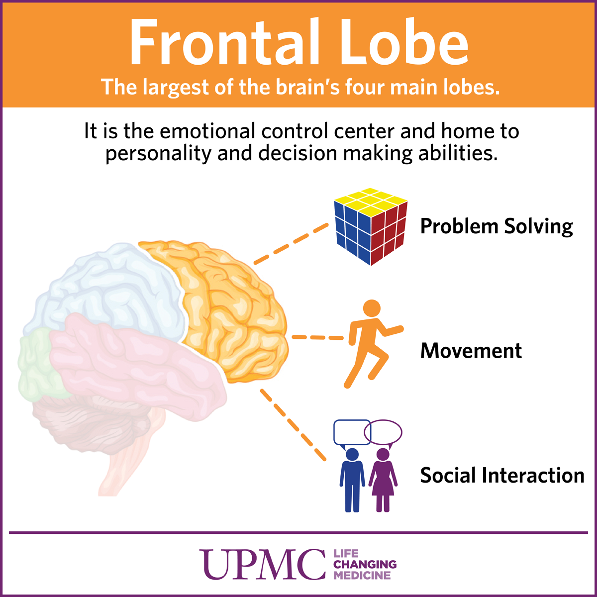 Get To Know Your Brain The Frontal Lobe UPMC HealthBeat