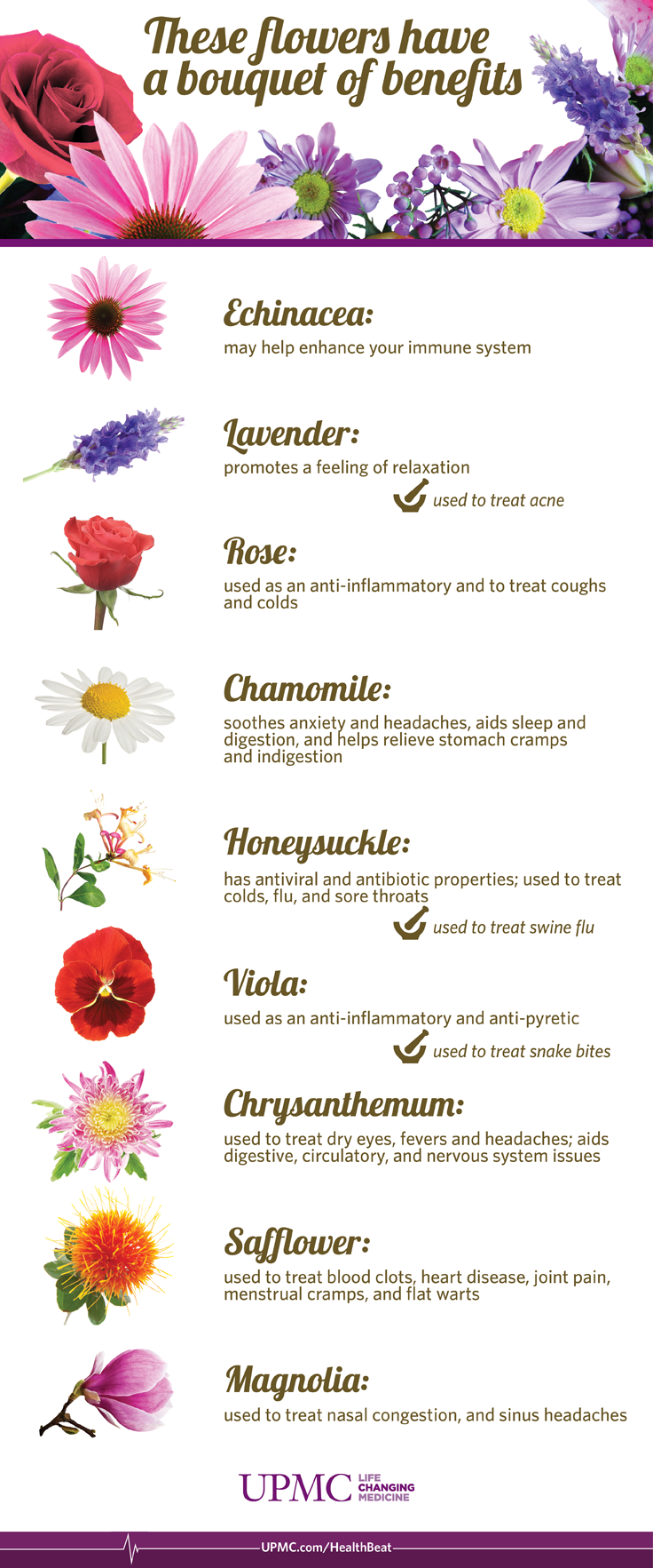 Infographic: Health Benefits of Flowers | UPMC HealthBeat