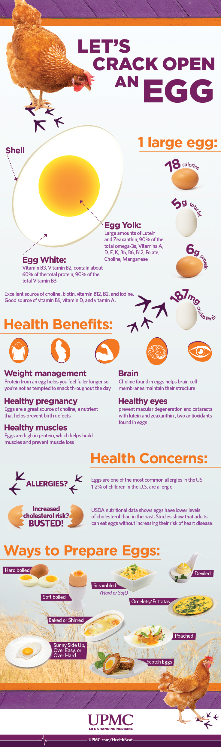 Learn more about the health benefits of eggs