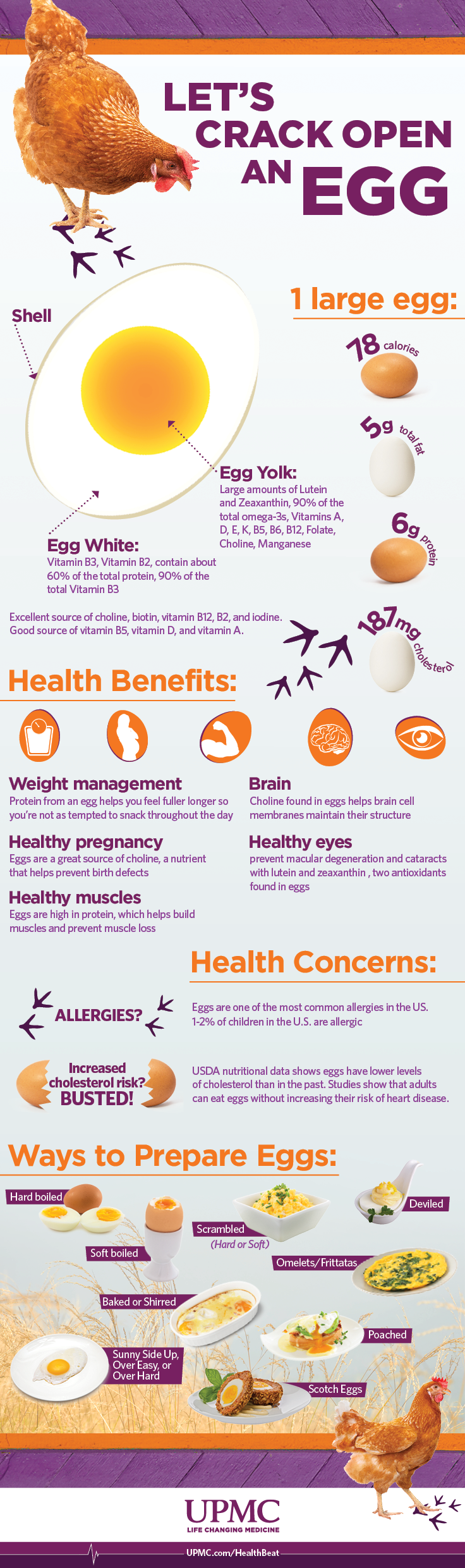 research health benefits of eggs