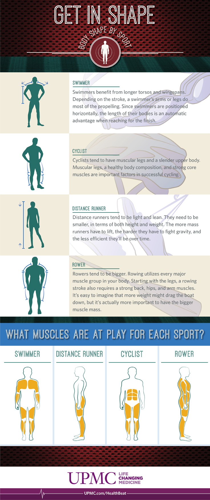 athlete body types infographic