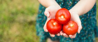 西红柿和健康饮食