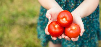 Tomatoes and a healthy diet