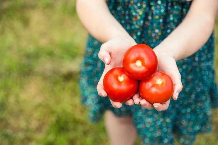 How Tomatoes Improve Heart Health | UPMC HealthBeat