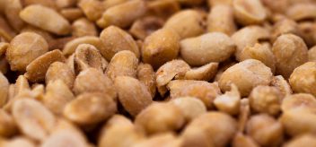Common food allergies: What are some of the common allergies people have to food?