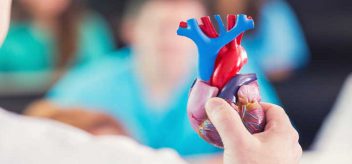 What is broken heart syndrome?