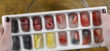 fruit infused ice cube recipes