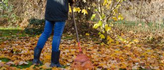 Learn how to avoid aches and pains while raking leaves.