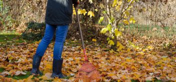 Learn how to avoid aches and pains while raking leaves.
