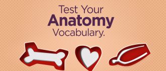 Quiz: Do You Know Your Anatomy Vocabulary?