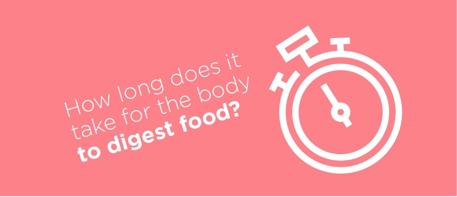How long does it take for your body to digest food?