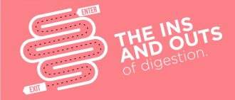 Quiz: How Well Do You Know Your Digestive System?