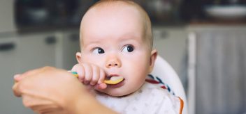 Why can't babies have honey? Find more answers about infant food risk.