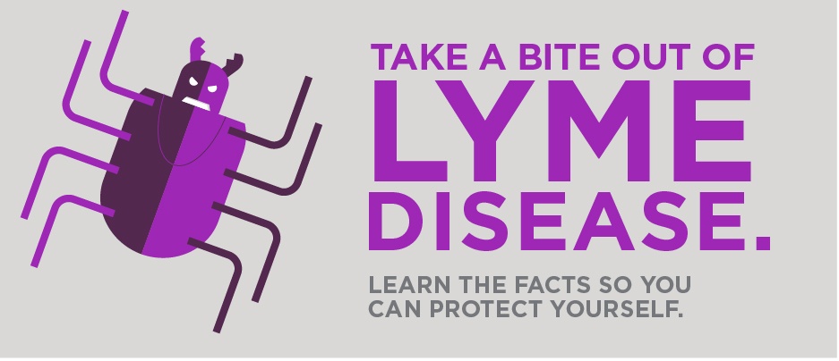 Learn about Lyme disease