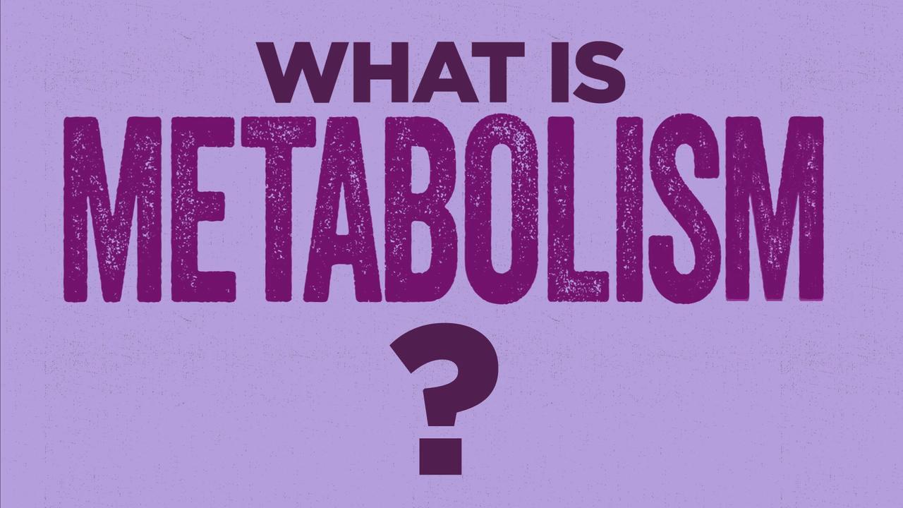 Fast metabolism? Slow metabolism? Learn what metabolism really is with our explainer video.