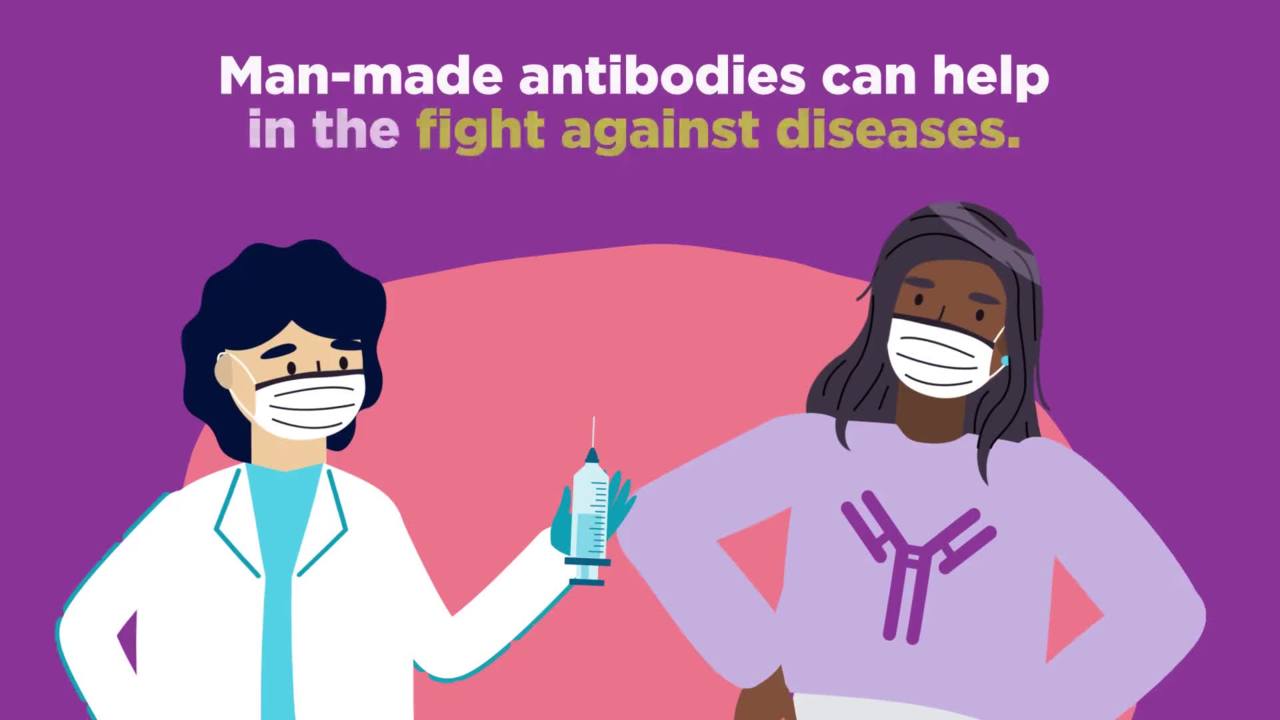 Your immune system produces proteins called antibodies that help fight infections like viruses. Learn more about antibodies and how scientists harness them to fight illness, including COVID-19.