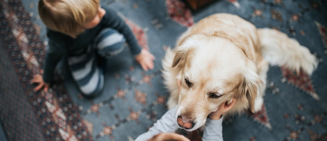 Keeping Children Safe Around our Furry Family Members