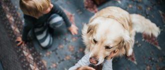 Keeping Children Safe Around our Furry Family Members